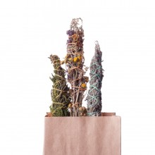 Железница, разнотравье, мята