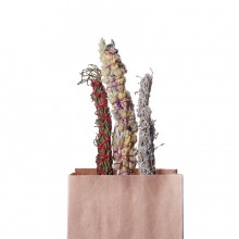 Артыш, багульник, 3 полыни